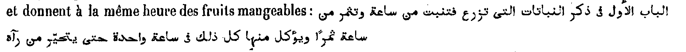 Arabic quotation in the continuation of Kraus, p.&nbsp;104, n.&nbsp;12 (printed on p.&nbsp;105)